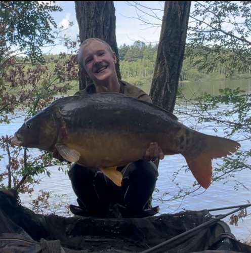 Boilies Pikantní krill