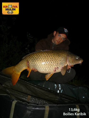 13,6kg, boilies Karibik