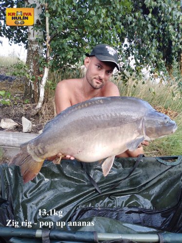 13,1kg, zig rig - pop up ananas