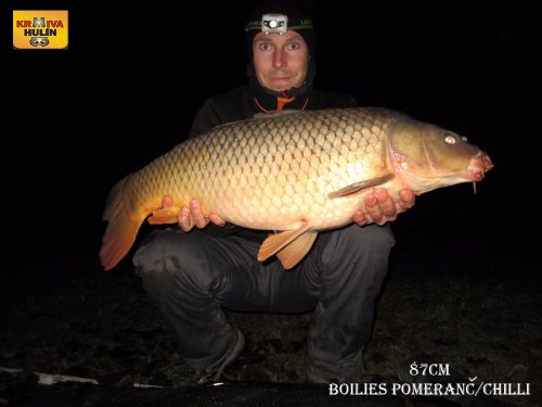 87cm, boilies pomeranč/chilli