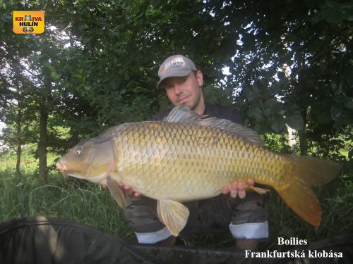 Boilies frankfurtská klobása