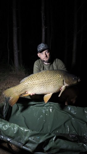 Boilies Pikantní perník