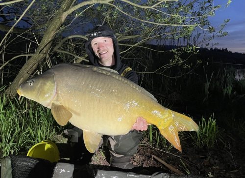 Boilies Tygří ořech