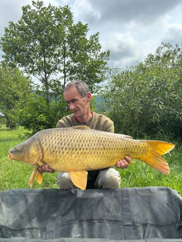 Boilies Pikantní krill