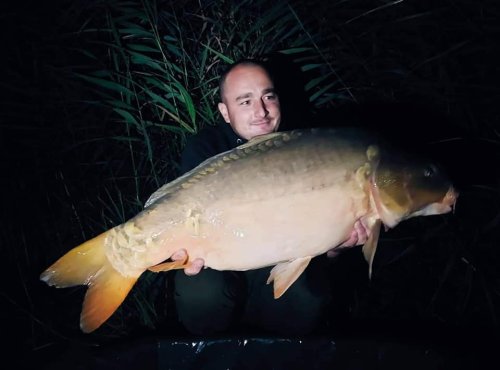Boilies Pikantní krill