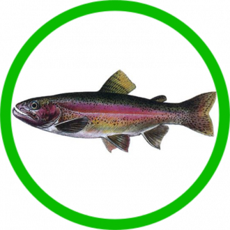 Lososovité ryby - Vyberte velikost - Ø 6 mm
