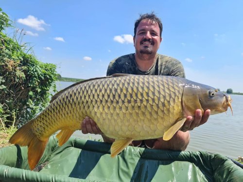 Boilies Frankfurtská klobása