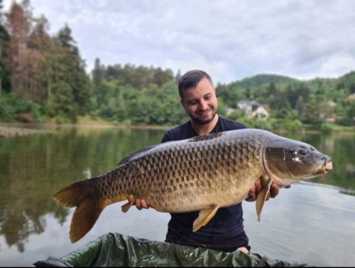 19,5kg, boilies Krill a oliheň