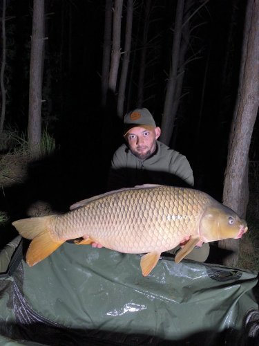 Boilies Pikantní perník