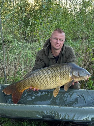 Boilies Calypso