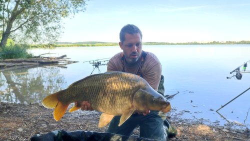 Boilies Mefisto