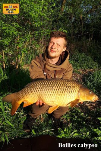 Boilies calypso, řeka Váh.