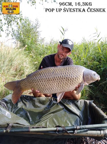 96cm, 16,3kg, zig rig - pop up švestka/česnek