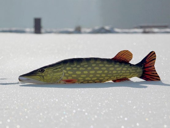 Plyšová ryba Gaby - ŠTIKA OBECNÁ - 80 cm