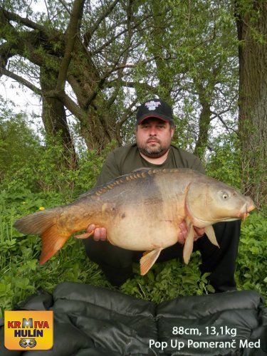 88cm, 13,1kg, pop up Pomeranč/med, svazová voda
