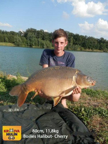 80cm, 11,8kg, boilies Halibut/Cherry
