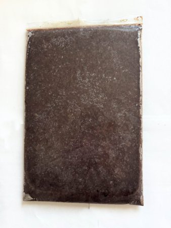 Artemia frozen flat plate - mrazené Artemie 500 g (zip vrecko)