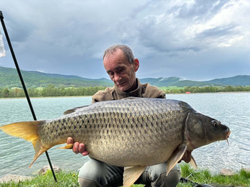 Boilies Švestka s česnekem