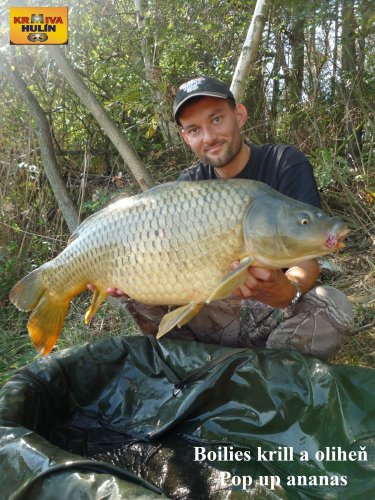 10,8kg, boilies krill/oliheň, pop up banán/meruňka, svazová pískovna