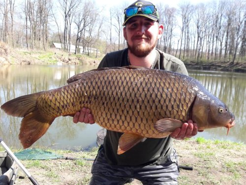 14,5kg, boilies Calypso