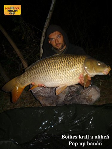 11kg, boilies krill/oliheň, pop up banán/meruňka, svazová pískovna