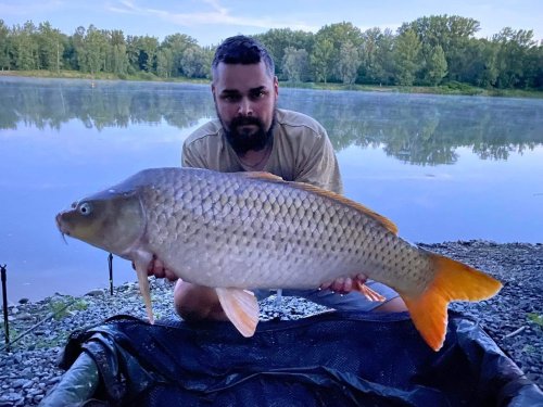 Boilies Pikantní krill