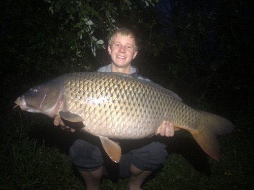 13kg, Boilies Krill/Oliheň