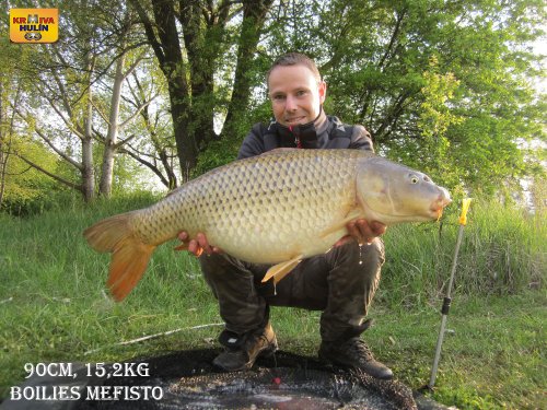 90cm, 15,2kg, Boilies mefisto