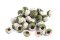 Boilies Bioactiv Paste - AMUR SPECIÁL a  WHITE SCOPEX - Ø 22 mm (Krmiva Hulín, BBPAS22-1) | Krmiva Hulín