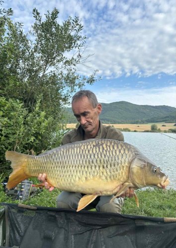 Boilies Pikantní perník