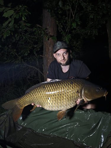 Boilies Pikantní perník