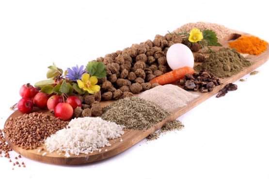 Doplňkové krmivo pro BARF - Extrudované s Kelpou bez lososového oleje (Krmiva Hulín, BARFEX-1) | Krmiva Hulín