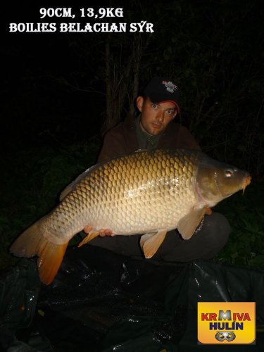90cm, 13,9kg, boilies Belachan/Sýr, svazová voda
