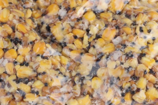 VARENÝ PARTIKL MIX PIER A CHILLI - Kukurica, Pšenica, Konope - Vyberte balenie: 1 kg