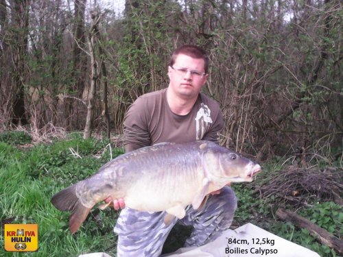 84cm, 12,5kg, boilies Calypso, svazová voda