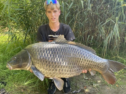 Rozpustné boilies Calypso