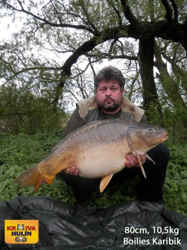 80cm, 10,5kg, boilies Karibik, svazová voda