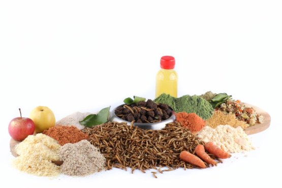 Vegetariánské krmivo pro psy - EntoVEGAN PRO - Alergici, Senioři, Nemocní psi - Vyberte balení: 500 g
