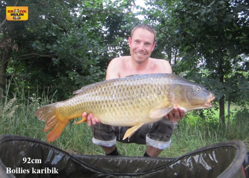Boilies karibik