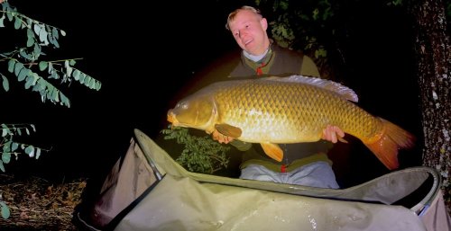 Boilies Pikantní krill
