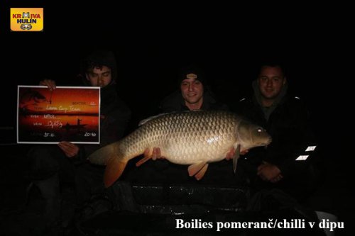 Boilies pomeranč/chilli v dipu