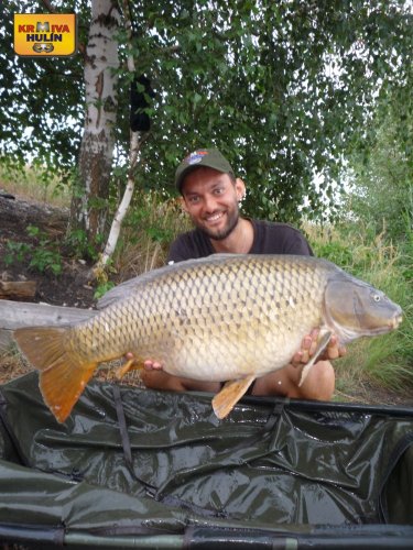16,3kg, zig rig - pop up ananas