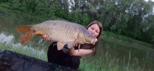 Boilies Pikantní jahoda