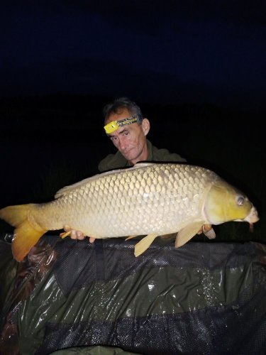 Boilies Pikantní perník