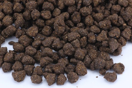 Vegetariánské krmivo pro psy - EntoVEGAN PRO - Alergici, Senioři, Nemocní psi - Vyberte balení: 500 g
