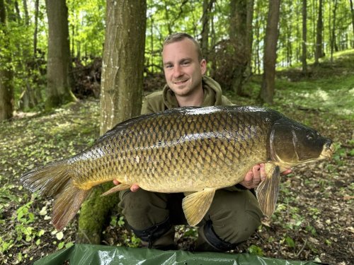 Boilies Pikantní jahoda Boilies Pikantní jahoda