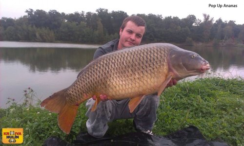 Pop up Ananas