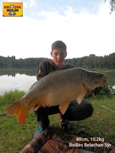 80cm, 10,2kg, boilies Belachan/Sýr, svazová voda