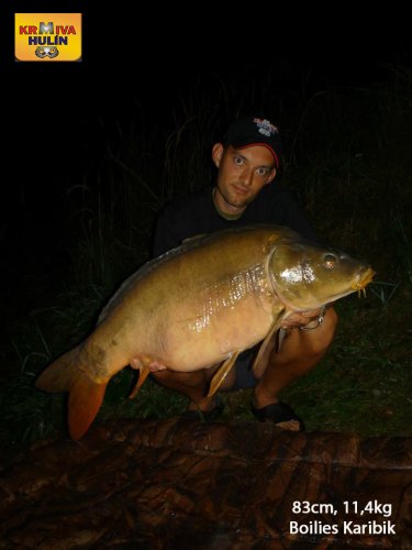 83cm, 11,4kg, boilies Karibik