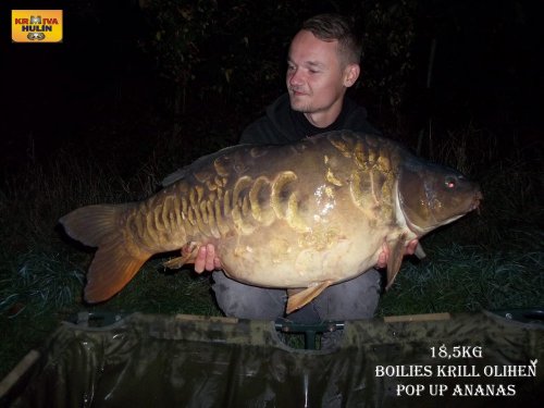 18,5kg, boilies krill/oliheň, pop up ananas, svazová voda